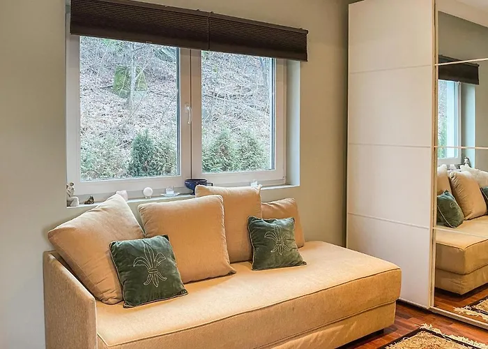 Apartment 1 Bedroom In